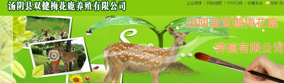 ˫��÷��¹��ֳ���޹�˾