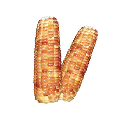 �ٶ�ɢװ������