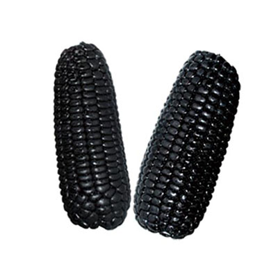 速冻散装黑玉米