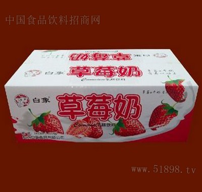 ��ݮ��(��װ��