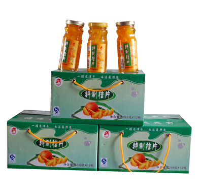 ��̶���ƽ�Ƭ-��ָƿ-248��