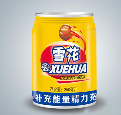 ѩ��ʲ��ζ��������250����