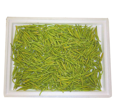 �ٶ��ƻ���