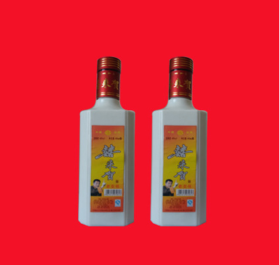 ϲ����ϲ����